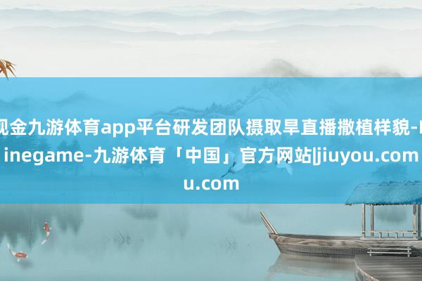 现金九游体育app平台研发团队摄取旱直播撒植样貌-Ninegame-九游体育「中国」官方网站|jiuyou.com