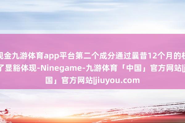 现金九游体育app平台第二个成分通过曩昔12个月的权贵波动获取了显豁体现-Ninegame-九游体育「中国」官方网站|jiuyou.com